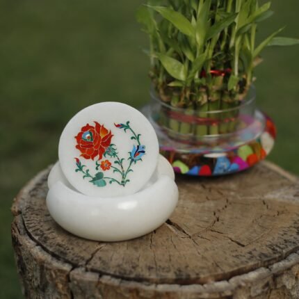 coaster 23